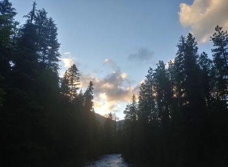 Camp Four Campground