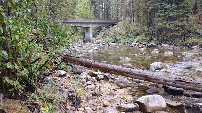 Camp Four Campground Picture 4