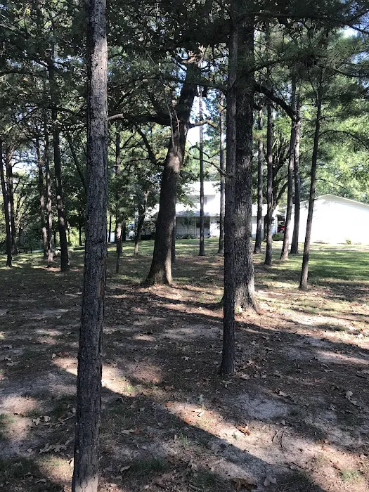 Golden Mobile Senior Park Picture 2