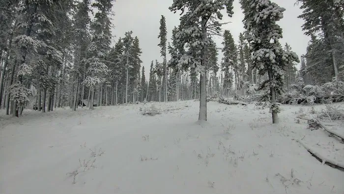 Tiffany Springs Campground Picture 2