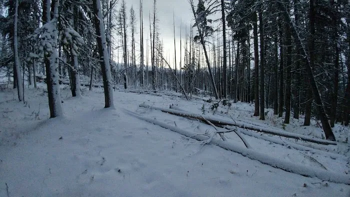 Tiffany Springs Campground Picture 3