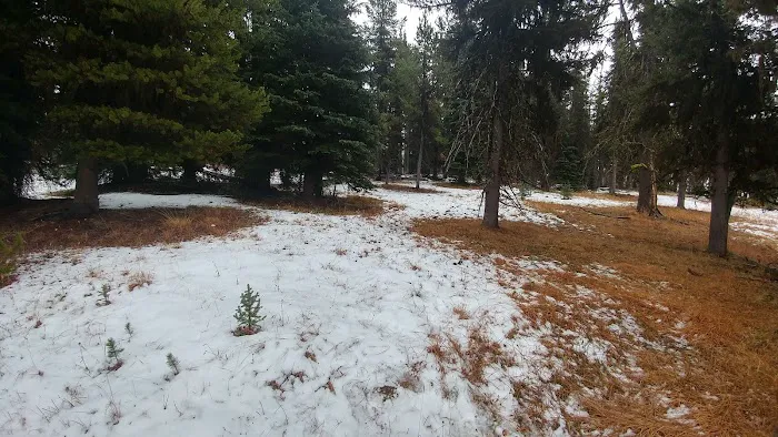 Tiffany Springs Campground Picture 4