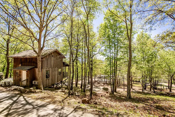Mockingbird Mountain Resort Picture 8