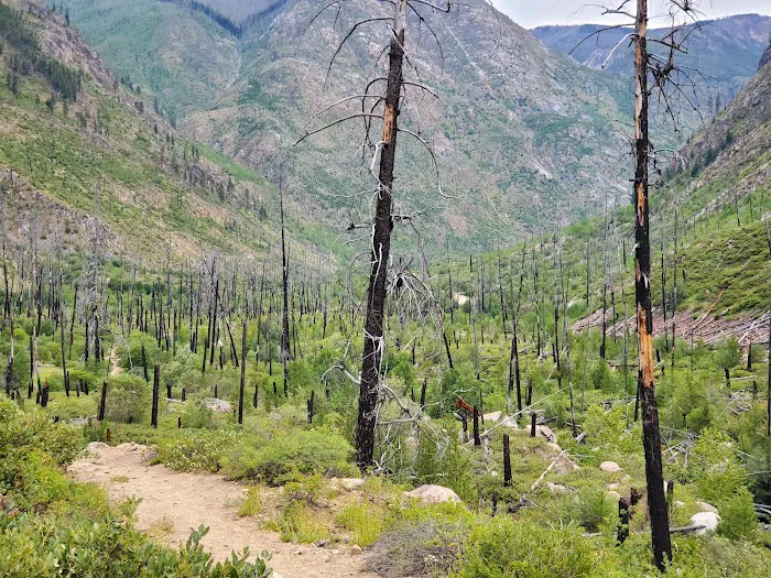 Thirtymile Trailhead Picture 9