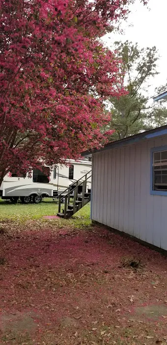 Sun Runners RV Park Picture 2