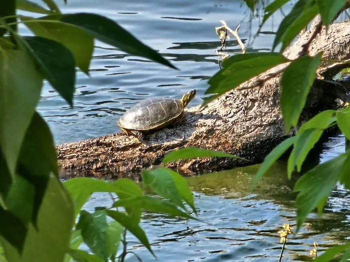 Conconully Lake Picture 4