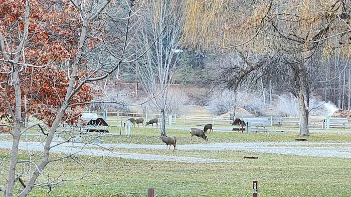 Oriole Campground Picture 3