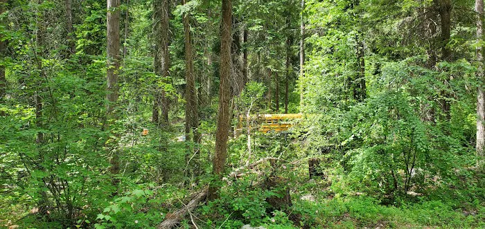 Oriole Campground Picture 4