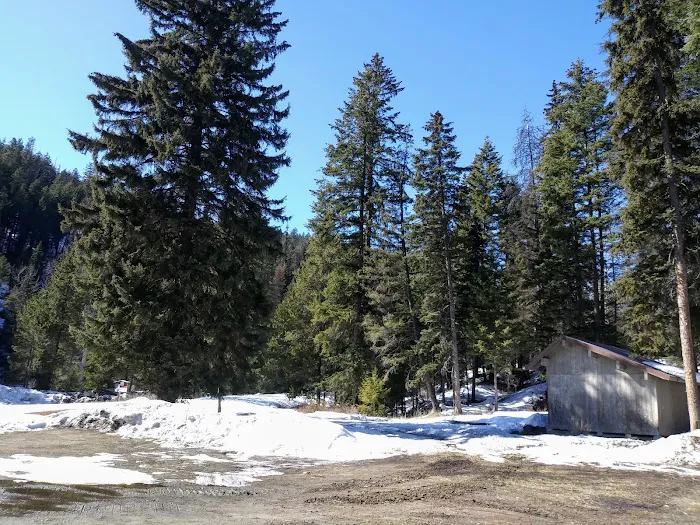 Kerr Campground Picture 4