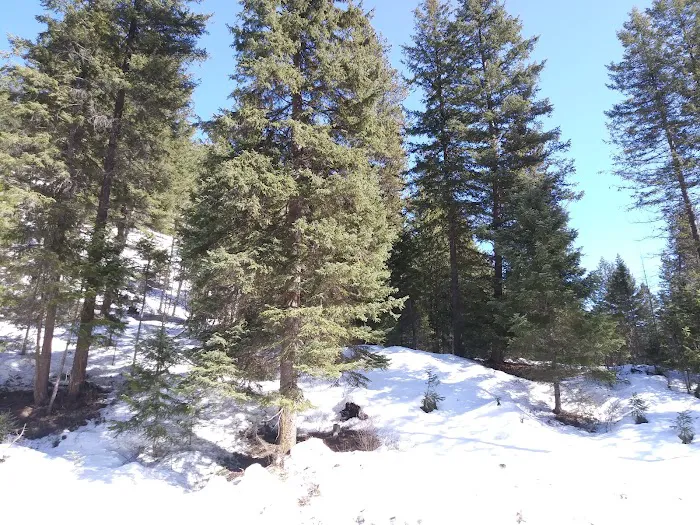 Kerr Campground Picture 3