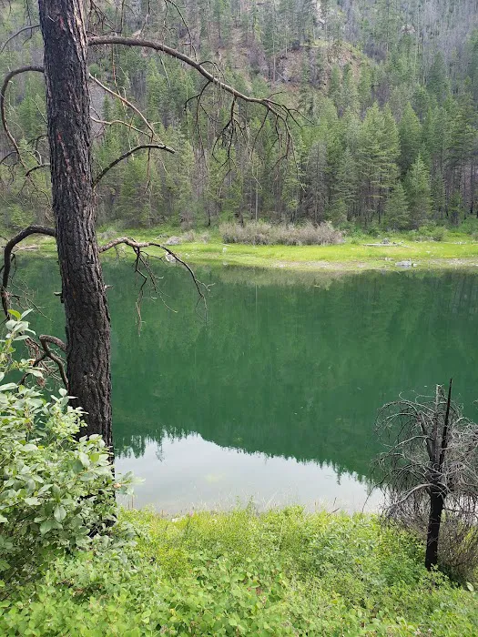 Sugarloaf Campgrounds Picture 6