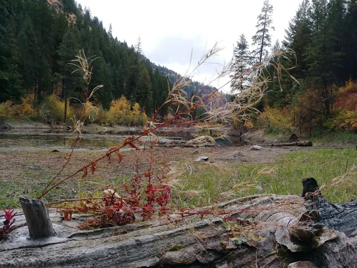 Sugarloaf Campgrounds Picture 8
