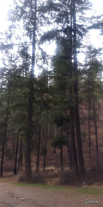 Sugarloaf Campgrounds Picture 7