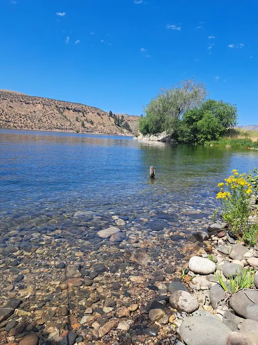 Rufus Woods Lake Campground Picture 4