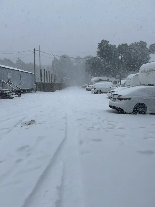 Moye Hill RV Park Picture 1