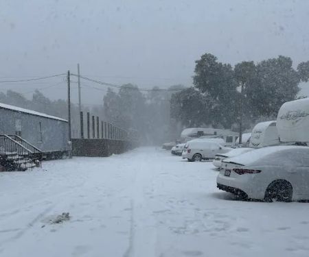 Moye Hill RV Park