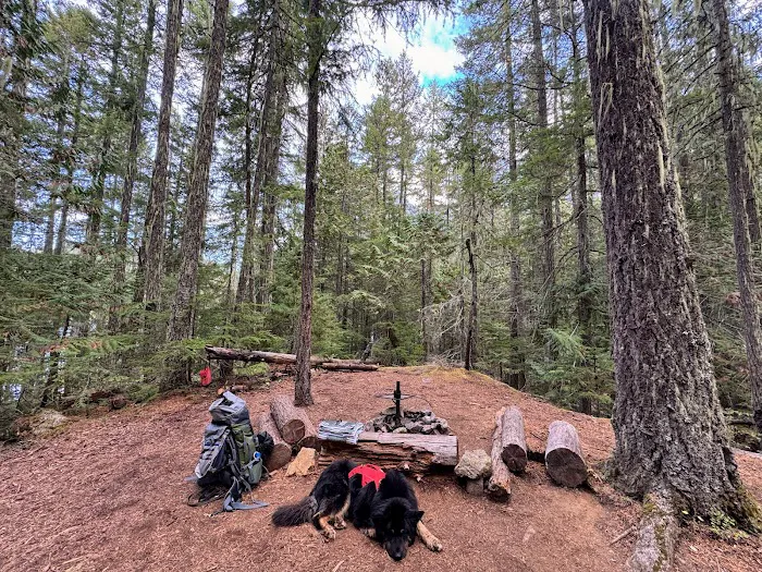 Hozomeen Lake Campground Picture 10