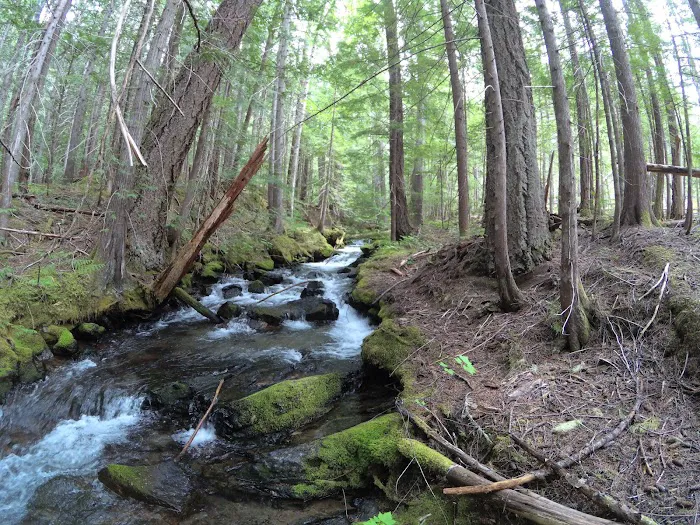 Hozomeen Campground Picture 4