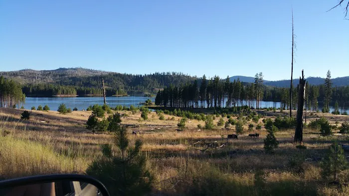 Long Point Campground Picture 3