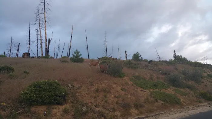 Long Point Campground Picture 5