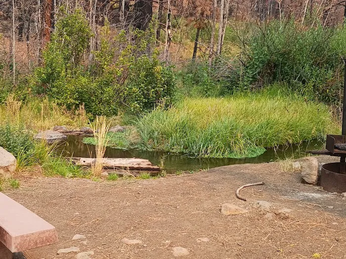 Conklin Park Campground Picture 3