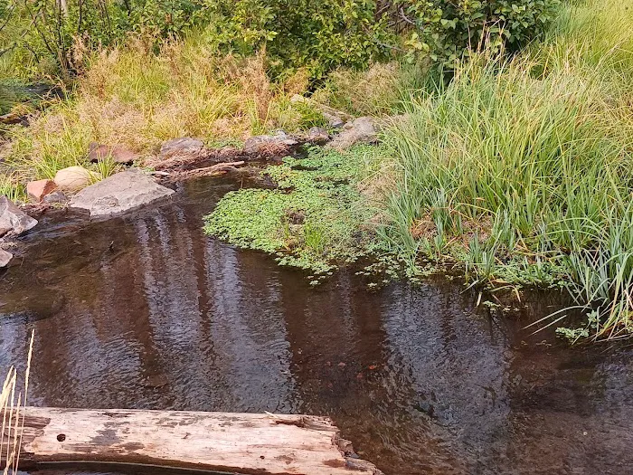 Conklin Park Campground Picture 2