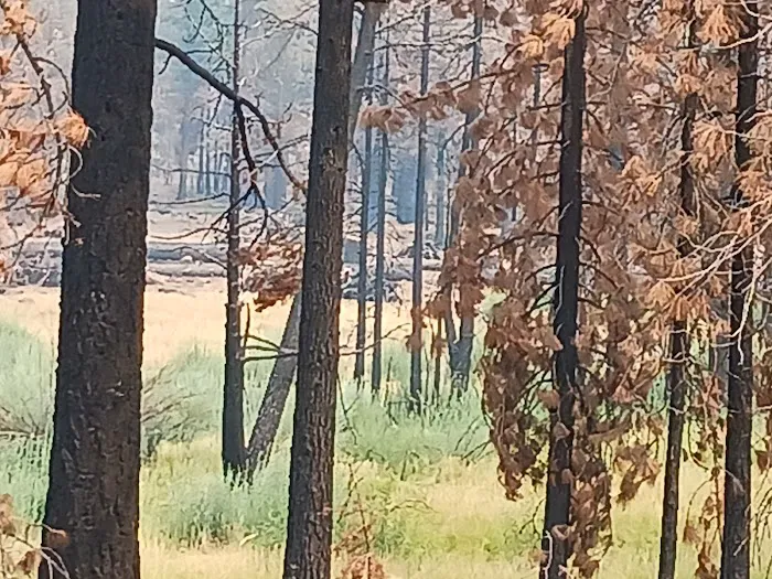 Conklin Park Campground Picture 1