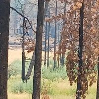 Conklin Park Campground ico