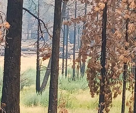 Conklin Park Campground