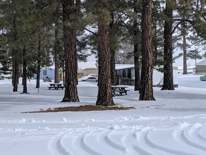Honey Lake Campground Milford, CA Picture 8