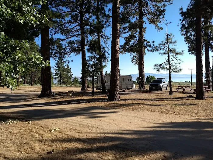 Honey Lake Campground Milford, CA Picture 10