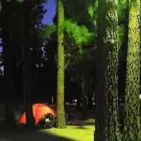 Honey Lake Campground Milford, CA ico