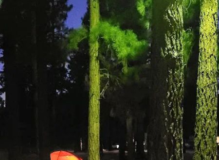 Honey Lake Campground Milford, CA
