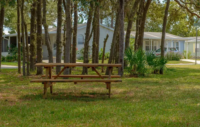 Walden Woods Picture 10