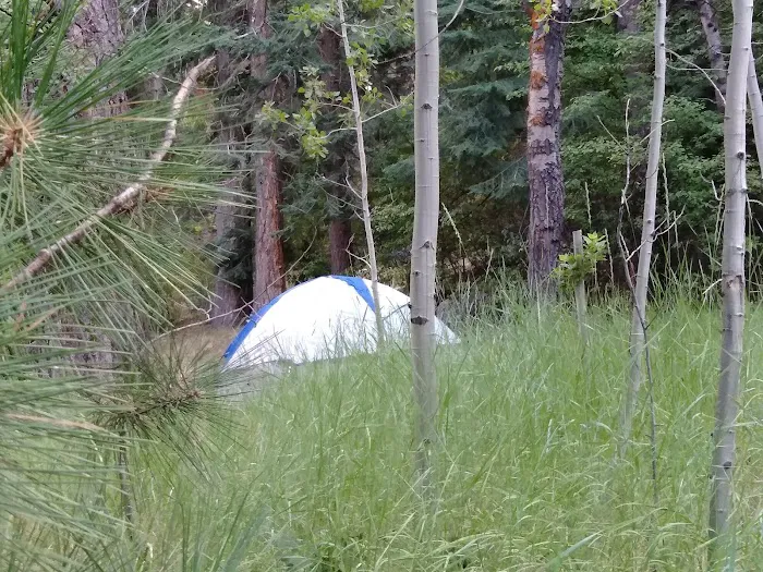 Laufman Campground Picture 10