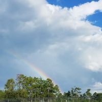 Walden Woods South ico