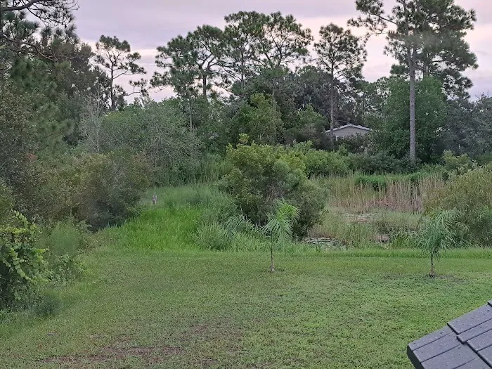 Walden Woods South Picture 8