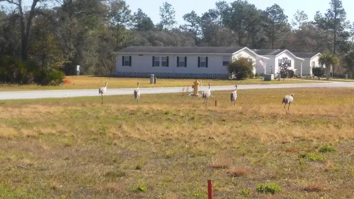 Walden Woods South Picture 2