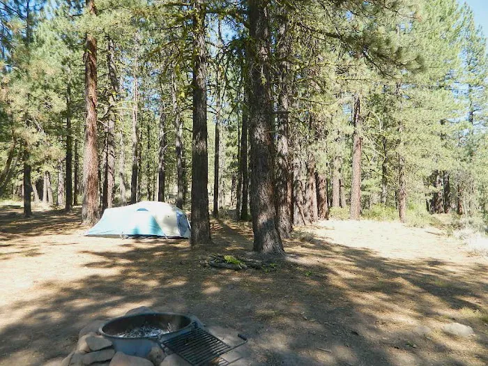 Crocker Campground Picture 8