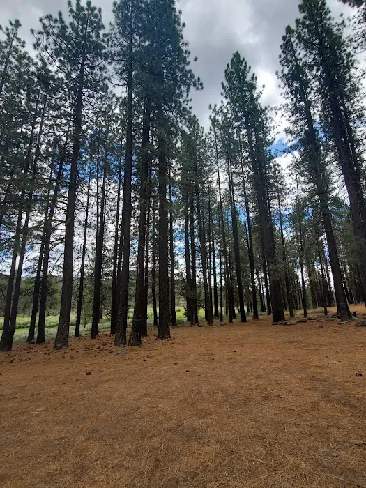 Crocker Campground Picture 10