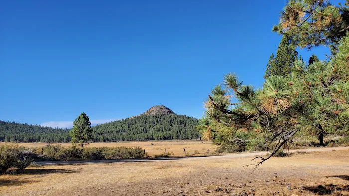 Meadow View Campground Picture 2