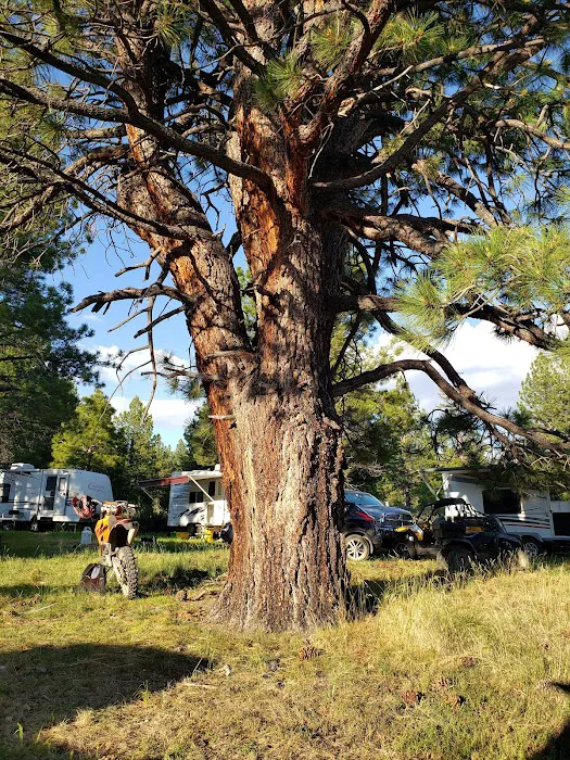 Meadow View Campground Picture 10