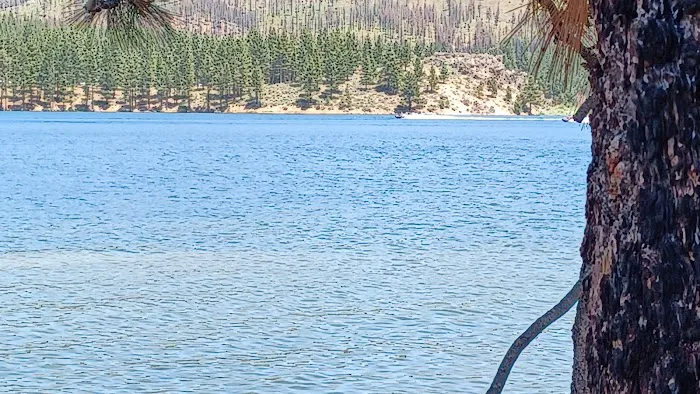 Frenchman Lake Picture 10