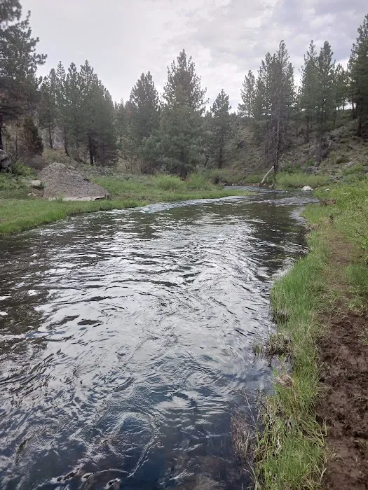 Frenchman Lake Picture 5