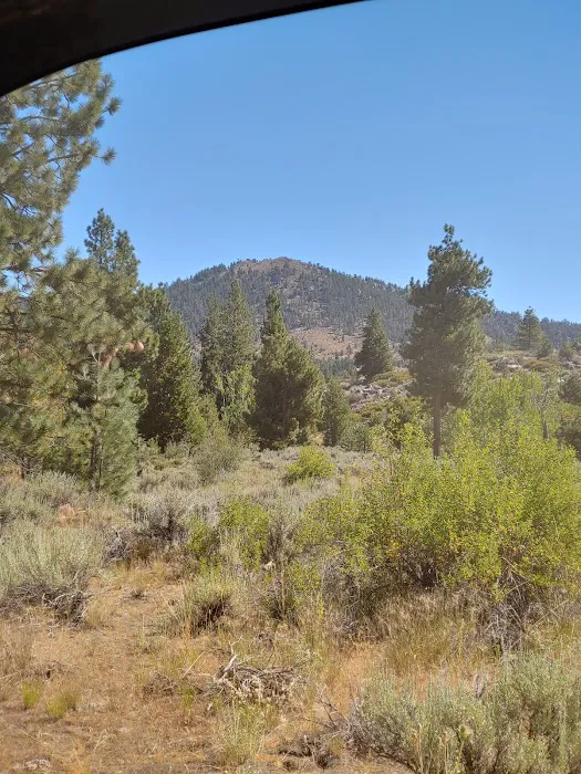 Cottonwood Spring Campground Picture 4