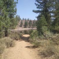 Cottonwood Spring Campground ico