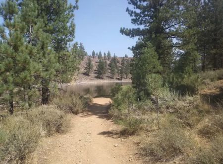 Cottonwood Spring Campground