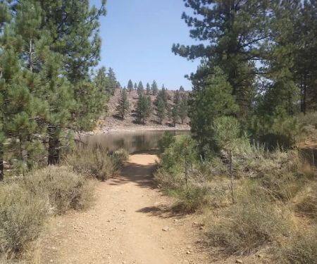 Cottonwood Spring Campground
