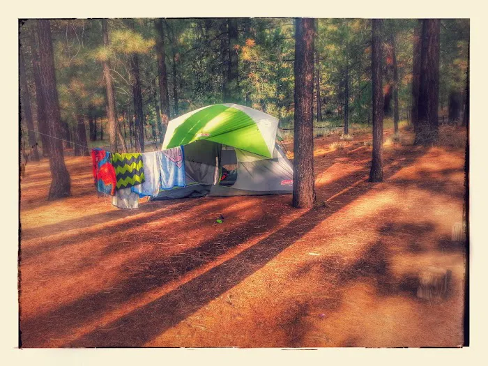 Cottonwood Spring Campground Picture 6