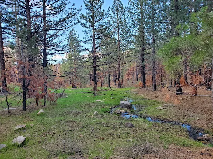 Cottonwood Spring Campground Picture 9